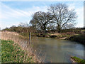 Footbridge and ford, River Roding in RM4 1AB
