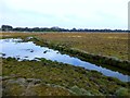 Ribble Marshland in PR4 1TB