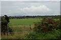 View across the fields towards Little Temperness Farm in SA62 3AB