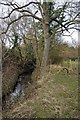 Stream & Blocked Footpath in CM4 9HT