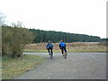 Cyclists In Thetford Forest in IP27 0SS