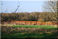 Garden wall between Little and Great Tangley in GU4 8LR