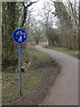 Cycle route in Arrow Valley Park in B98 0FE