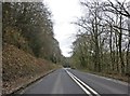 A396, in Bickleigh Woods in EX16 7RP