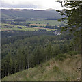Woodland in Tummel Valley, south of Pitlochry in PH16 5NB