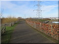 Clyde Walkway and cycleway No75 near Carmyle in G72 7FF