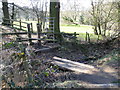 Small footbridge (1), Ladybrook Valley Interest Trail in SK7 6ES