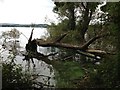 Chew Valley Lake from Denny Island in BS39 5TY