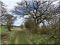 Footpath along a track near Stonepit Hills in PE31 6DS