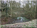 Small pond, Pipe Marsh in WS13 8JS