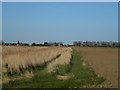 Dike and reeds on Weston Fen in PE12 0XE