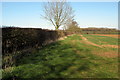 Field and hedge by Grove Farm in NN12 7ST