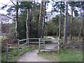 Path into Cannock Chase in WS15 2UT