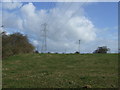 Farmland and pylons in WS15 3NX