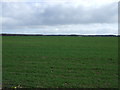 Farmland off Uttoxeter Road in WS15 3EQ