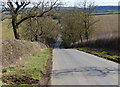 Descending south along Stoke Albany Road in LE16 8PL
