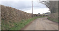 Lane to Purse Caundle from A30 in DT9 5DX