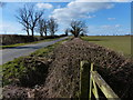 Gate and hedges along Ashley Road in LE16 8PL