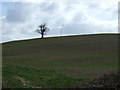Farmland, Vicar's Hill in DE13 9PS