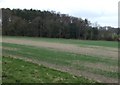 Farmland towards Stud Wood in DE13 9RN