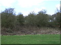 Recreation ground and woodland off Forest Road in DE13 0SN