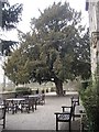 Headlam Hall terrace in Headlam
