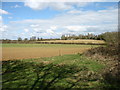 Fields near Wilcote in OX7 3BA