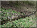 Drain beside nature trail in DE13 9AU