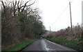 Lane beside wood to Cranborne in BH21 5RD