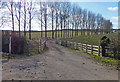 Driveway to Crabtree Farm in Brampton Ash