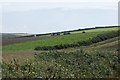 Potato harvest near Winterton in SA62 3AS