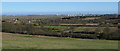 View of Thames Estuary from Langdon Hills Country Park in SS16 5LA