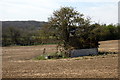 Tree and shelter amid the arable field in NN12 7SW