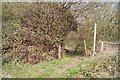 Footpath towards the M4 in Burghfield