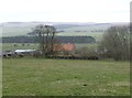 Newton Greens farm in Newton-on-the-Moor and Swarland