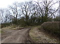 Track leading south to Gilmorton in LE17 5NW