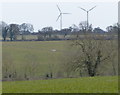 Turbines at Low Spinney Wind Farm in LE17 5ND