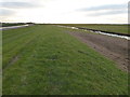 The Nene Way long distance footpath - The Nene Washes in PE7 1RH
