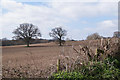Farmland south of Lockram Lane in RG7 3AY