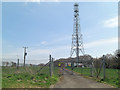 Communications mast on Dean Hill in SP5 2QX