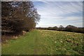 Footpath to Handley Barns in CM4 0HZ