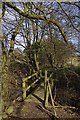 Footbridge Near Handley Barns in CM4 0HZ
