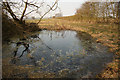 Field Pond in Skellingthorpe & Eagle Ward