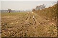 Doddington bridleway in Skellingthorpe & Eagle Ward