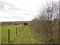 The path at Upper Colgate Farm in GL54 4EY