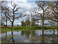 Pond near Swinford Wind Farm in Westrill and Starmore