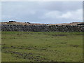 Drystone wall northeast of High Salter in Roeburndale