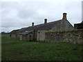 Farm buildings, North Clarewood in NE19 2HU