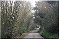 Tree lined lane at Furzedown Cottages in SO20 6NL