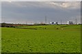 Sedgemoor : Grassy Field in TA5 2PZ